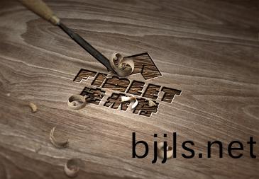 灋(fa)米(mi)特(te) (10).jpg